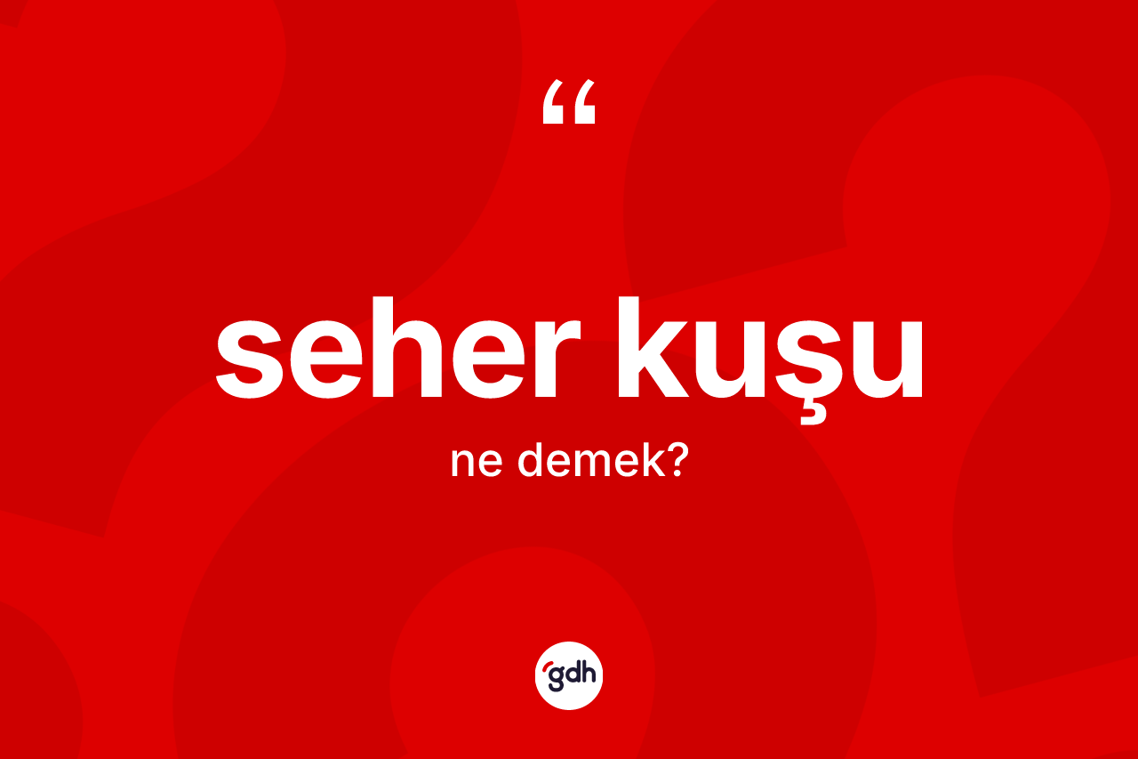 Seher kuşu kelimesi ne anlama gelir? Seher kuşu kelimesinin kaç farklı anlamı var?