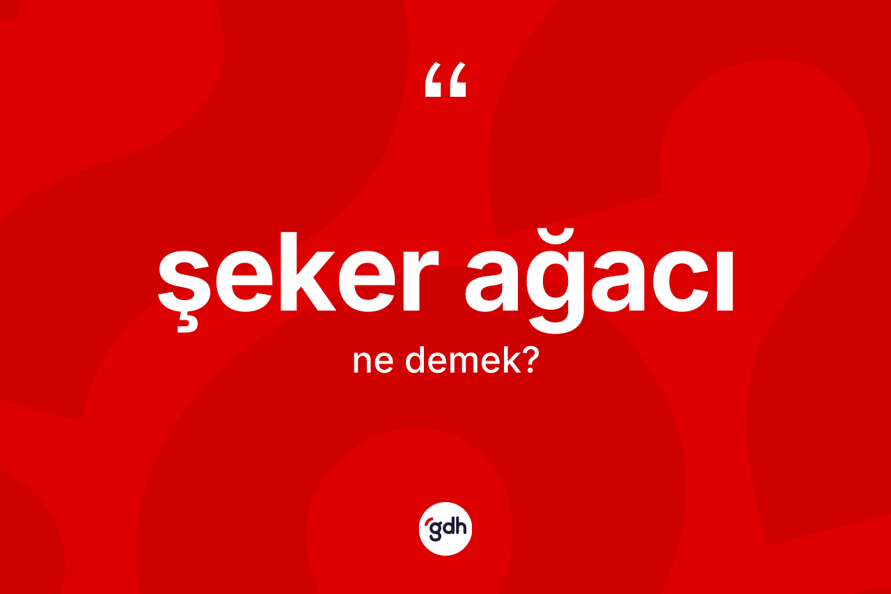 Şeker ağacı kelimesinin anlamı nedir?