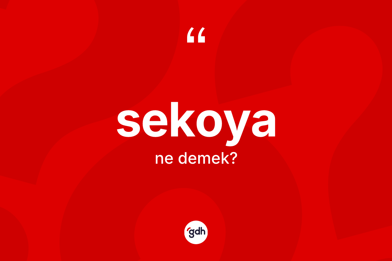Sekoya ne demek? Sekoyanın TDK'ya göre anlamı nedir?