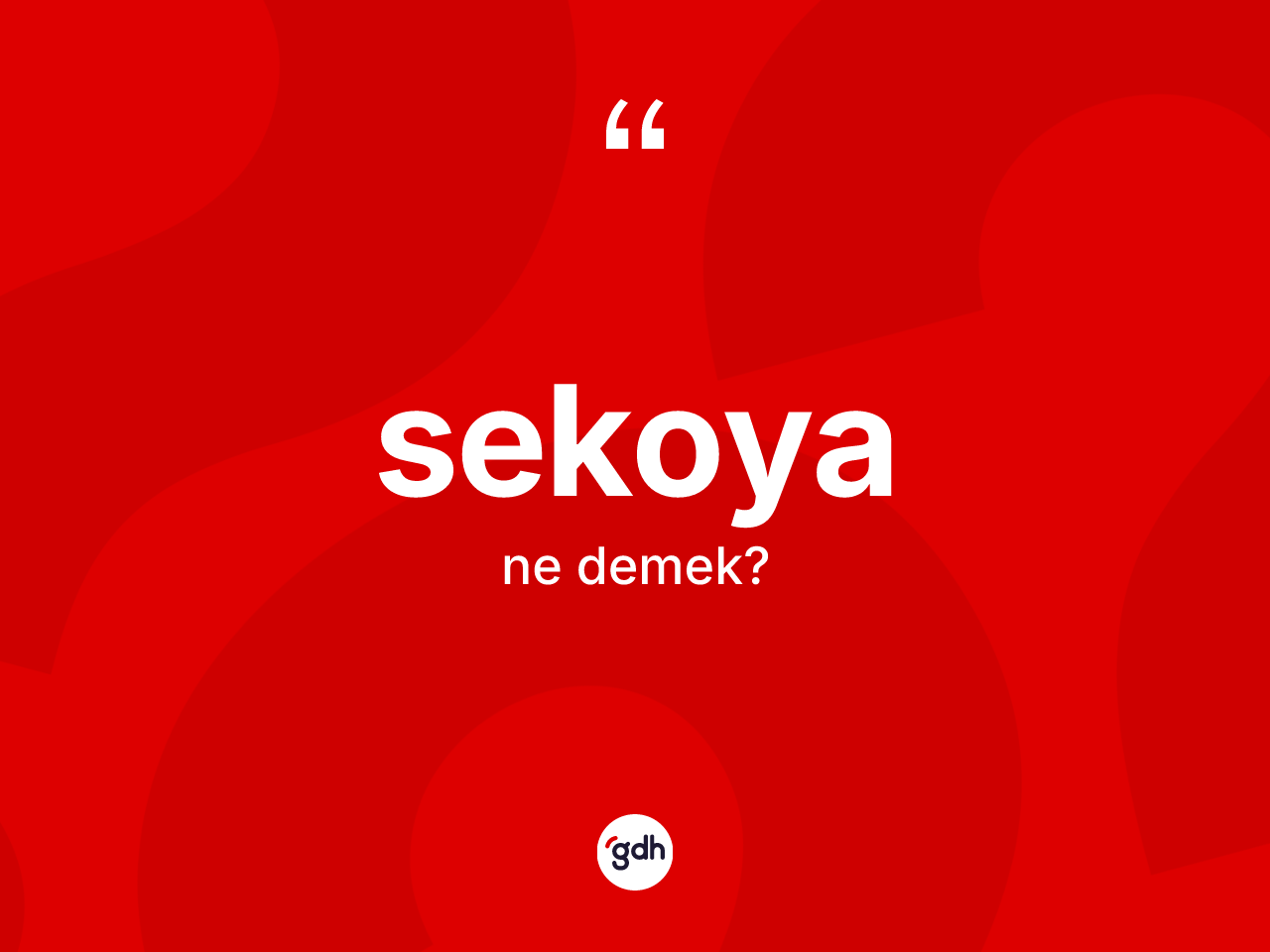 Sekoya ne demek? Sekoyanın TDK'ya göre anlamı nedir?