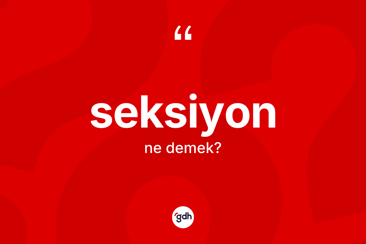 Seksiyon kelimesinin tanımı nedir? Seksiyonun sözlükteki anlamı nedir?
