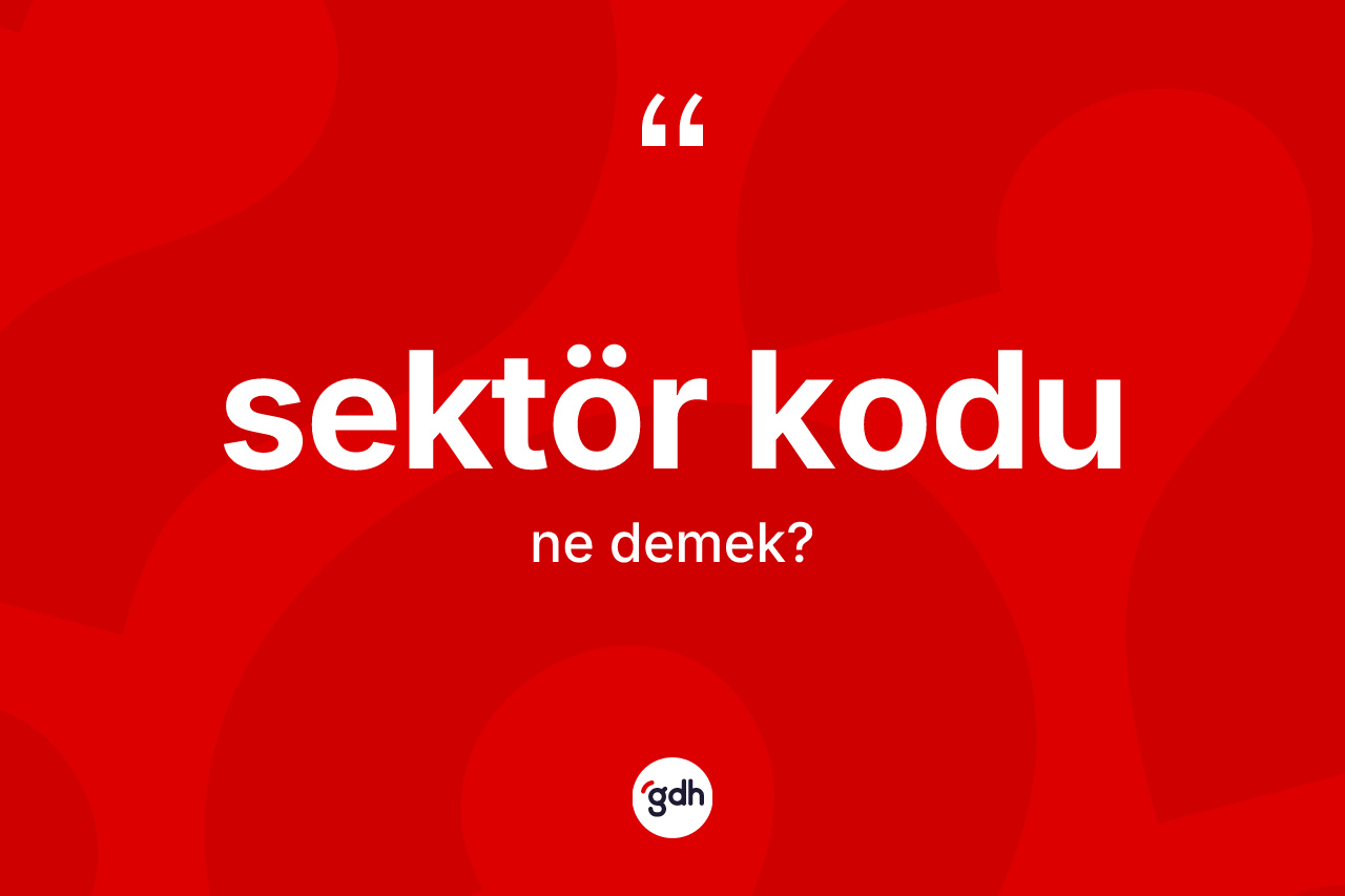 Sektör kodu ne anlama gelir? Sektör kodunun TDK'ya göre anlamı nedir?