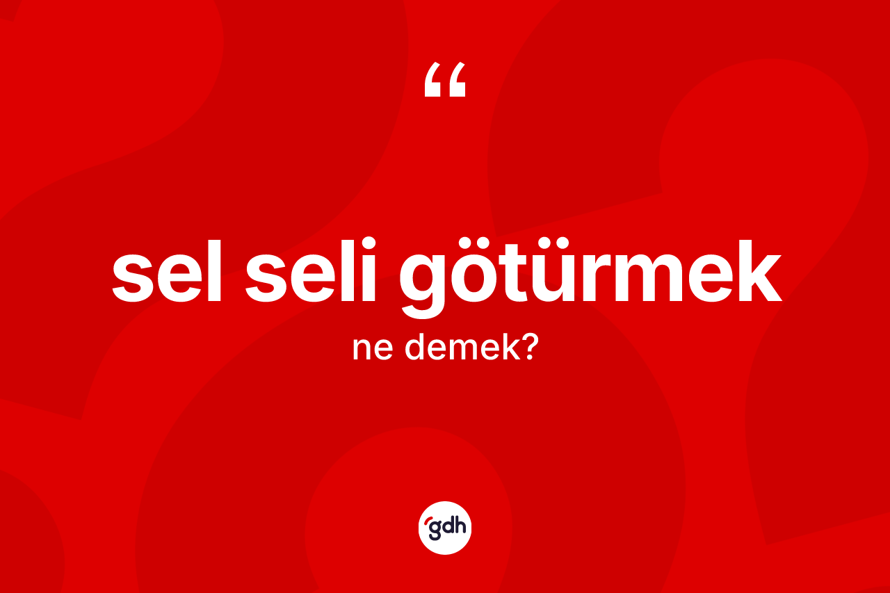 Sel seli götürmek ifadesinin anlamı nedir?