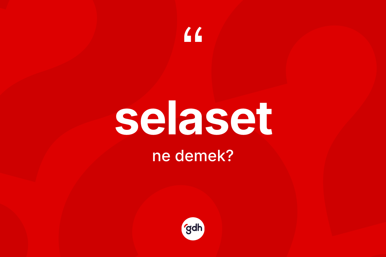 Selaset kelimesinin anlamı nedir? Selaset kelimesinin kaç farklı anlamı var?