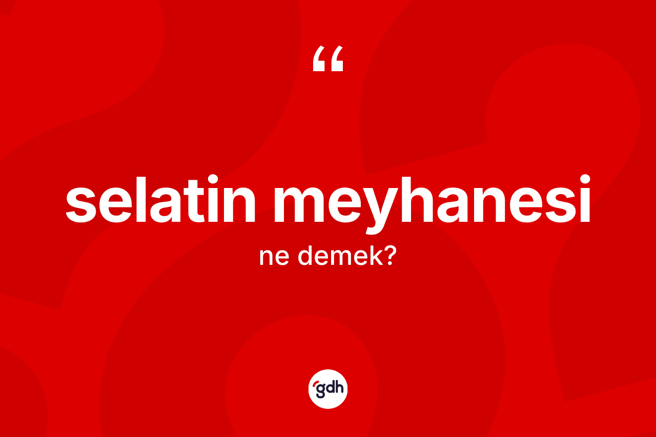 Selatin meyhanesi kelimesinin sözlükteki tanımı nedir? Selatin meyhanesinin TDK'ya göre anlamı nedir?