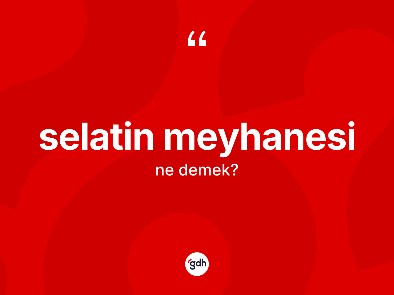 Selatin meyhanesi kelimesinin sözlükteki tanımı nedir? Selatin meyhanesinin TDK'ya göre anlamı nedir?