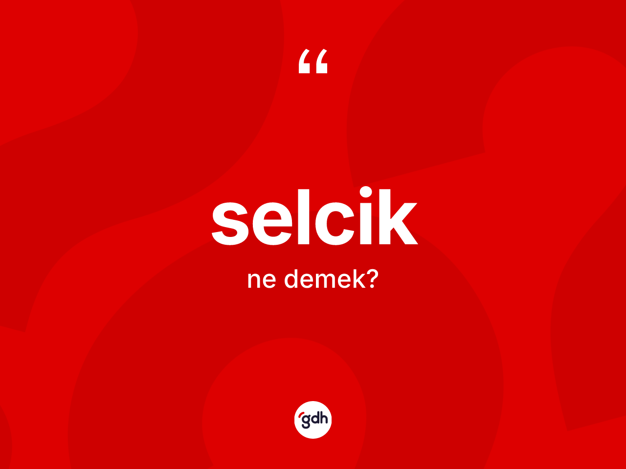 Selcik kelimesinin anlamı nedir? Selciğin TDK'ya göre anlamı nedir?