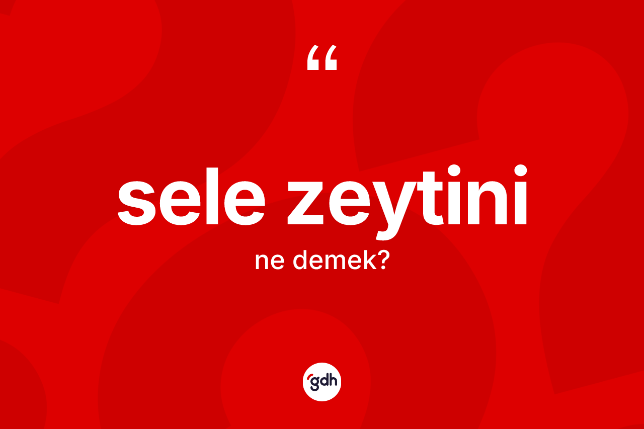Sele zeytini kelimesi nedir? Sele zeytininin kısaca tanımı nedir?