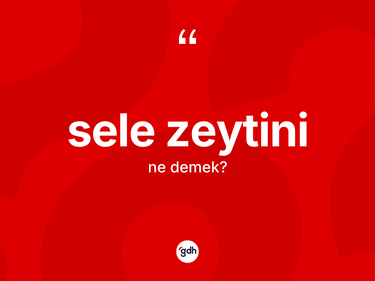 Sele zeytini kelimesi nedir? Sele zeytininin kısaca tanımı nedir?