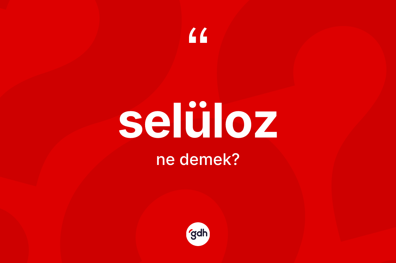 Selüloz kelimesinin tanımı nedir? Selüloz kelimesinin kaç farklı anlamı var?