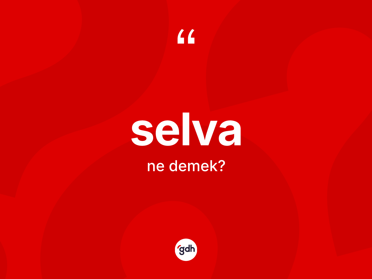 Selva nedir? Selva kelimesinin TDK anlamı nedir?