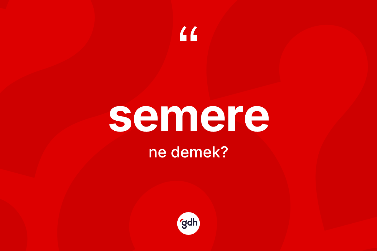Semere ne anlama gelir? Semere kelimesinin TDK'ya göre açıklaması nedir?