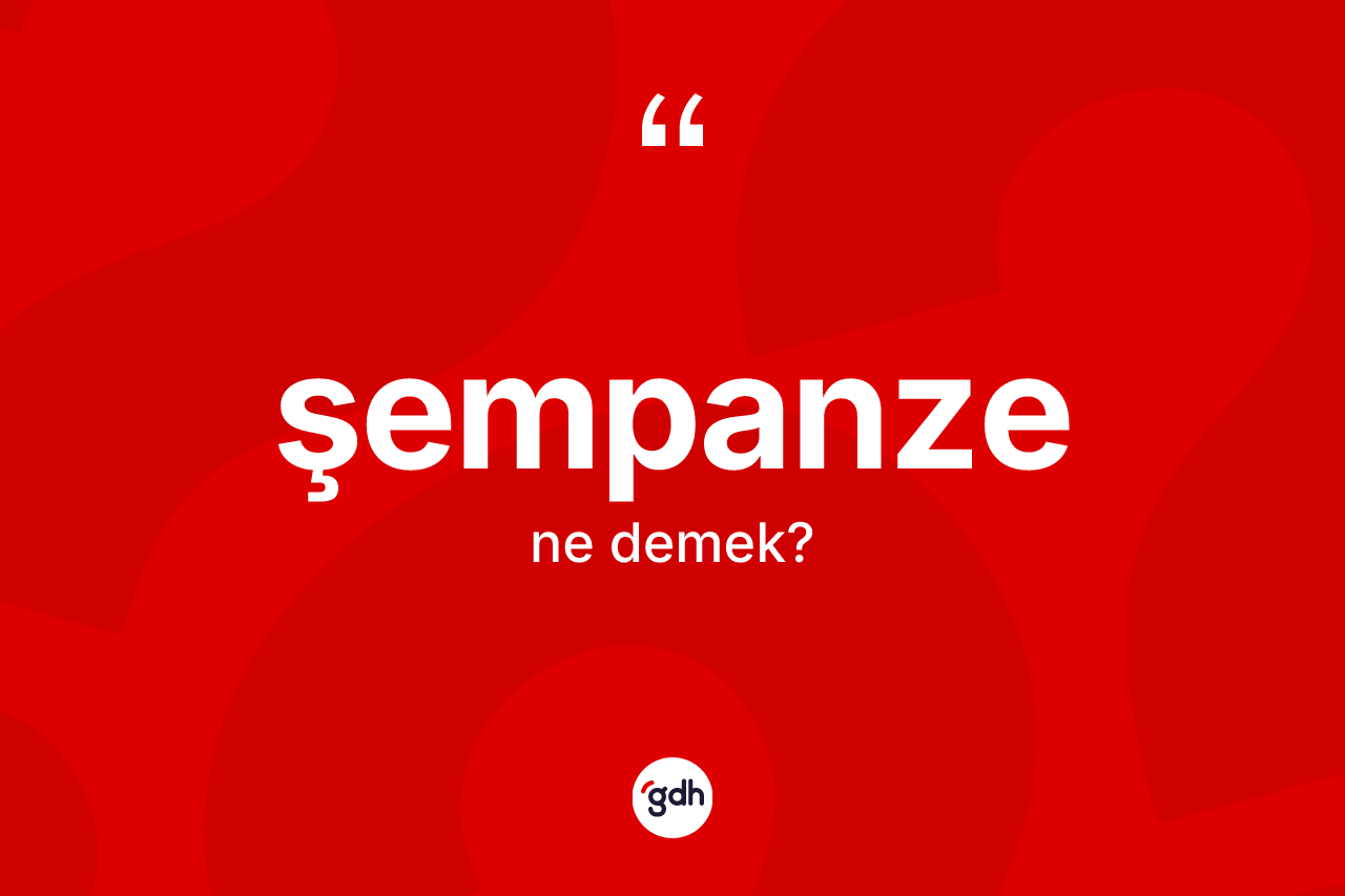 Şempanze kelimesinin tanımı nedir?