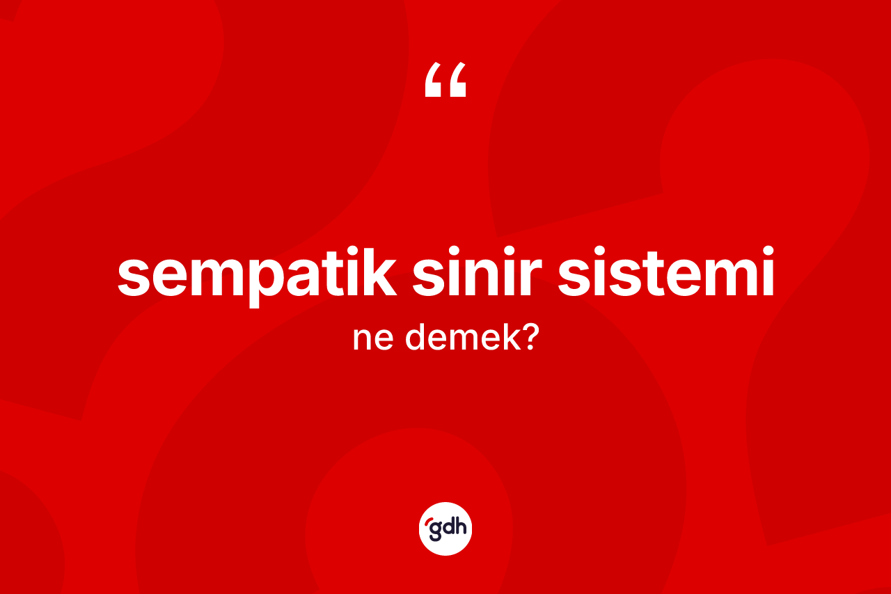 Sempatik sinir sistemi kelimesi ne demek?