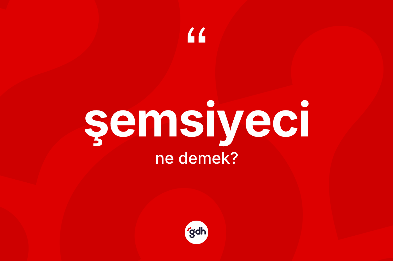 Şemsiyeci ne anlama gelir? Şemsiyecinin TDK'ya göre anlamı nedir?