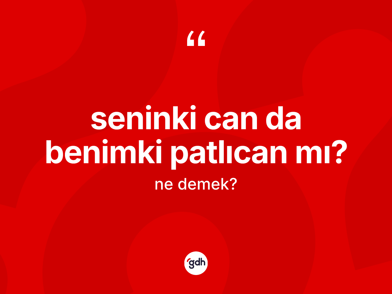 Seninki can da benimki patlıcan mı? ifadesinin kısaca anlamı nedir? Seninki can da benimki patlıcan mı? sözünün TDK'ya göre anlamı nedir?