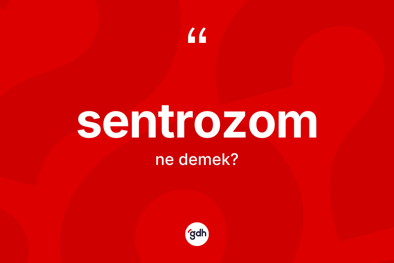 Sentrozom kelimesi ne anlama gelir? Sentrozom kelimesinin TDK anlamı nedir?