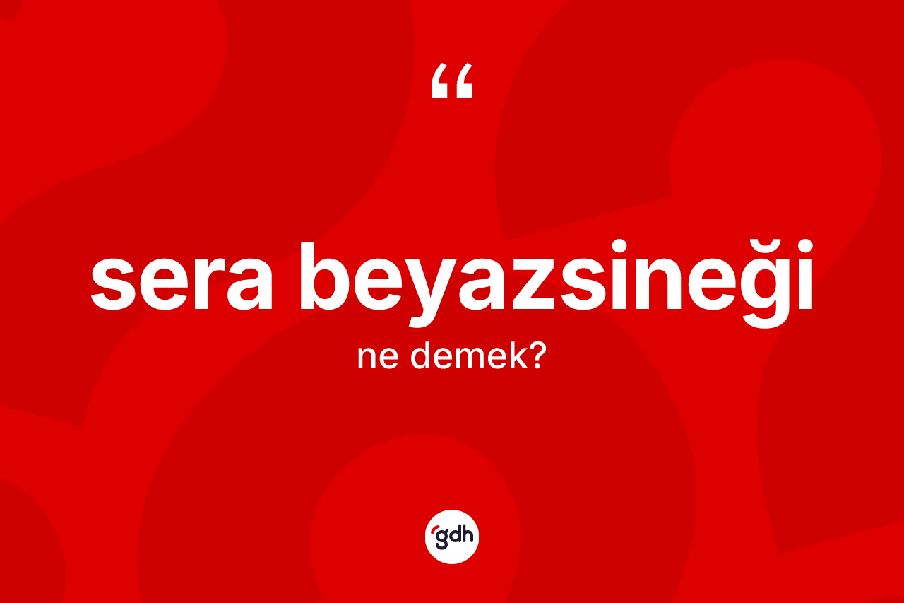 Sera beyazsineği  kelimesinin sözlükteki tanımı nedir? Sera beyazsineği in TDK'ya göre anlamı nedir?