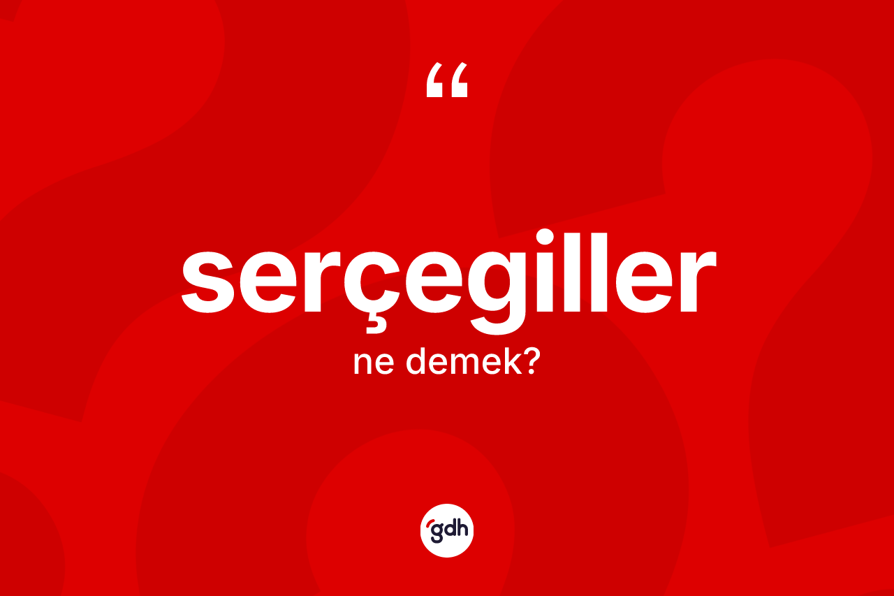 Serçegiller kelimesi nedir? Serçegillerin TDK'ya göre anlamı nedir?