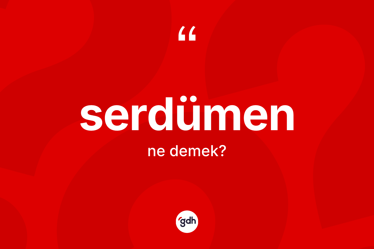 Serdümen ne demek? Serdümenin TDK'ya göre anlamı nedir?