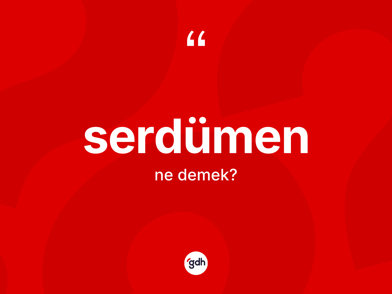 Serdümen ne demek? Serdümenin TDK'ya göre anlamı nedir?