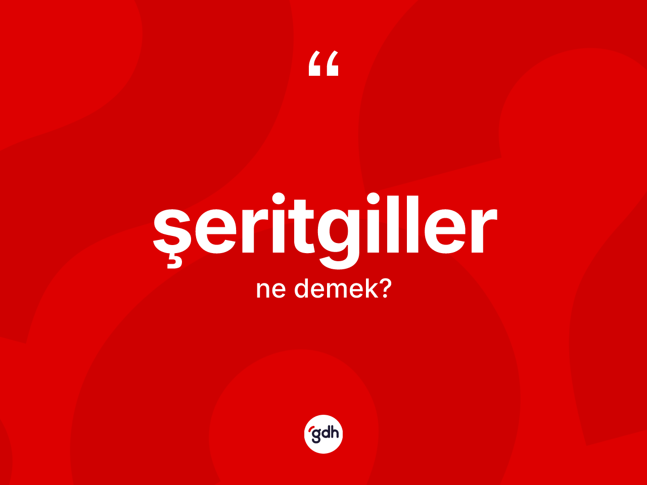 Şeritgiller ne anlama gelir? Şeritgillerin halk arasındaki kullanımı nasıldır?