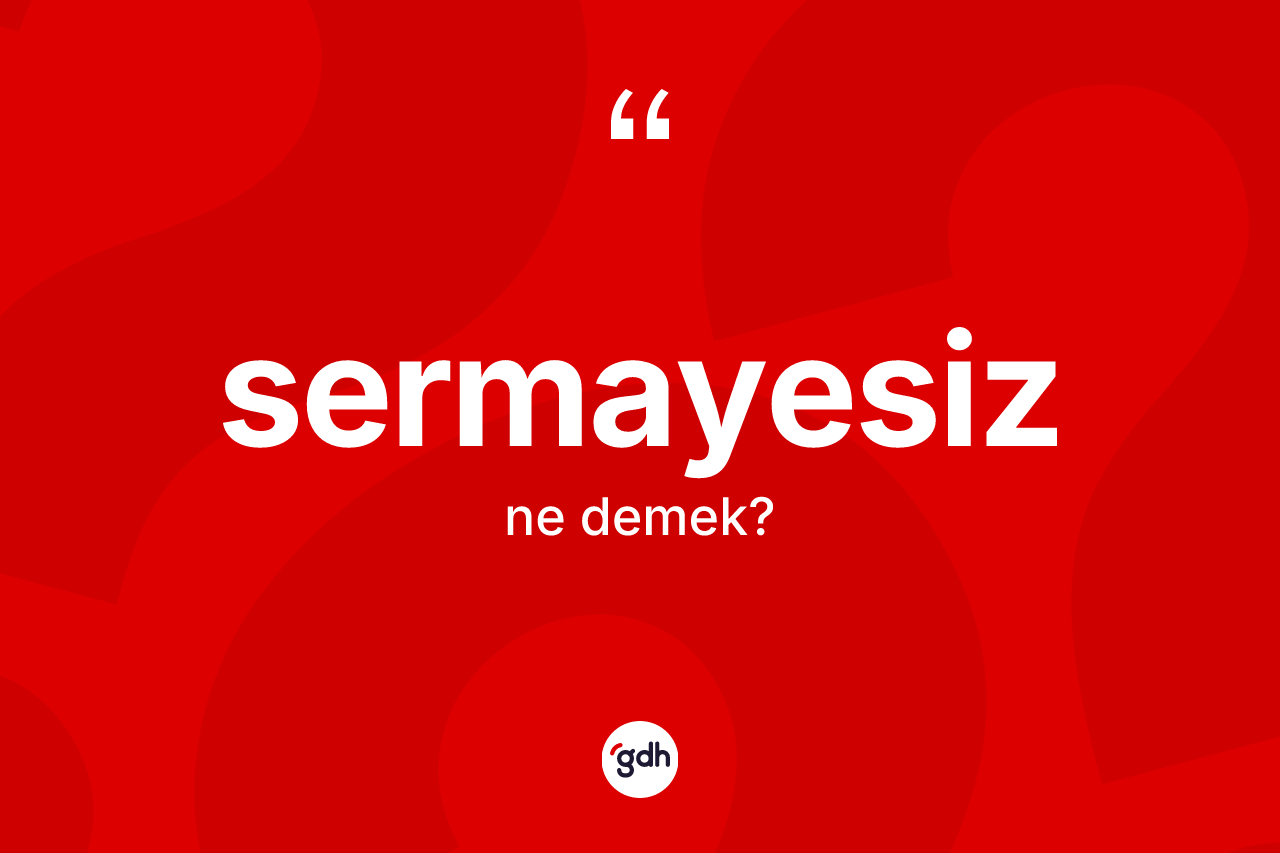 Sermayesiz nedir? Sermayesizin TDK'ya göre anlamı nedir?
