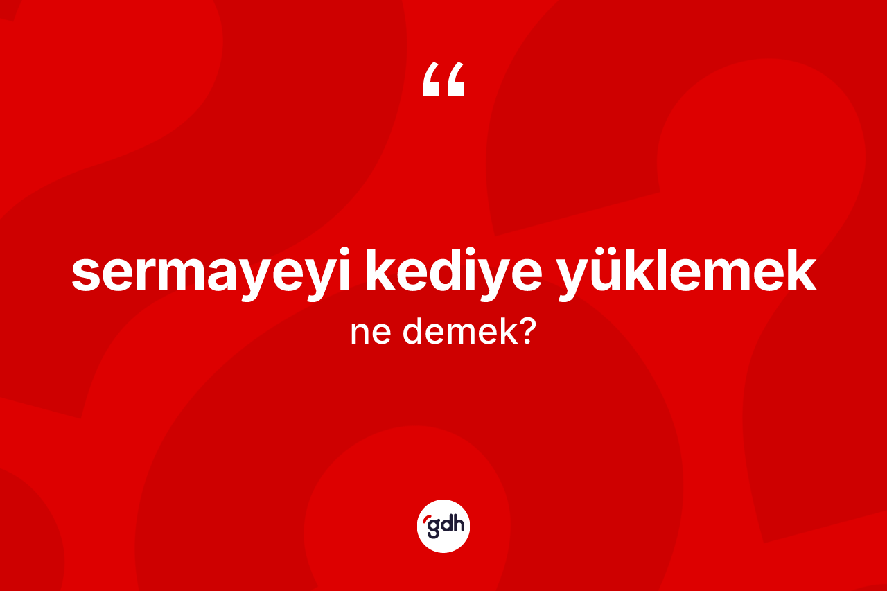 Sermayeyi kediye yüklemek ifadesi nedir?