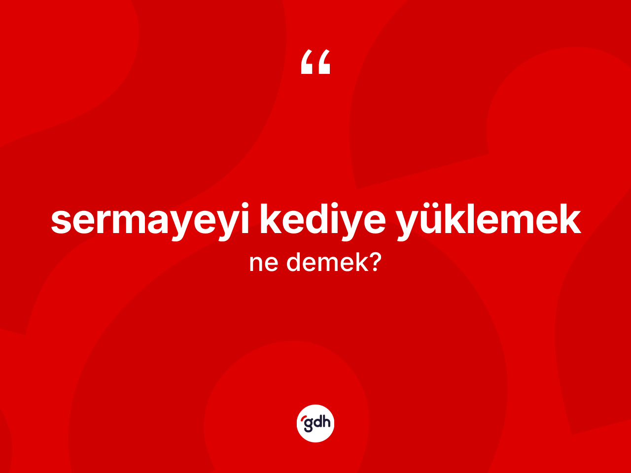 Sermayeyi kediye yüklemek ifadesi nedir? Sermayeyi kediye yüklemek ifadesinin TDK anlamı nedir?