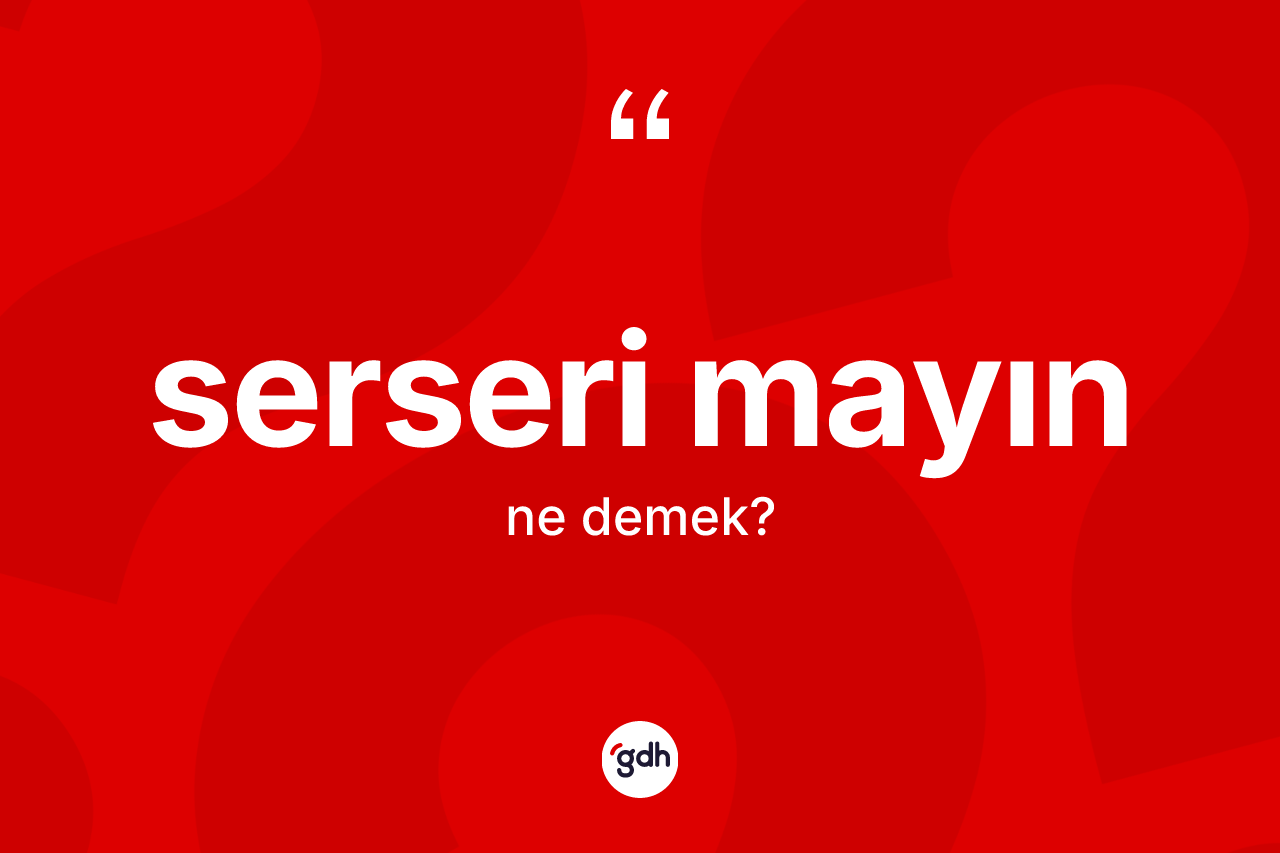 Serseri mayın kelimesi ne demek? Serseri mayın kelimesinin kaç farklı anlamı var?