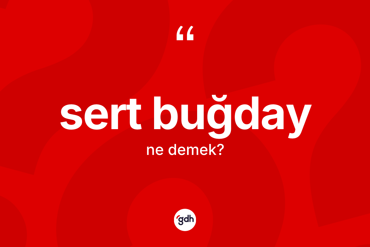 Sert buğday kelimesi nedir? Sert buğdayın kısaca tanımı nedir?