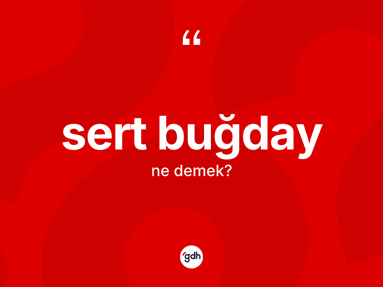 Sert buğday kelimesi nedir? Sert buğdayın kısaca tanımı nedir?