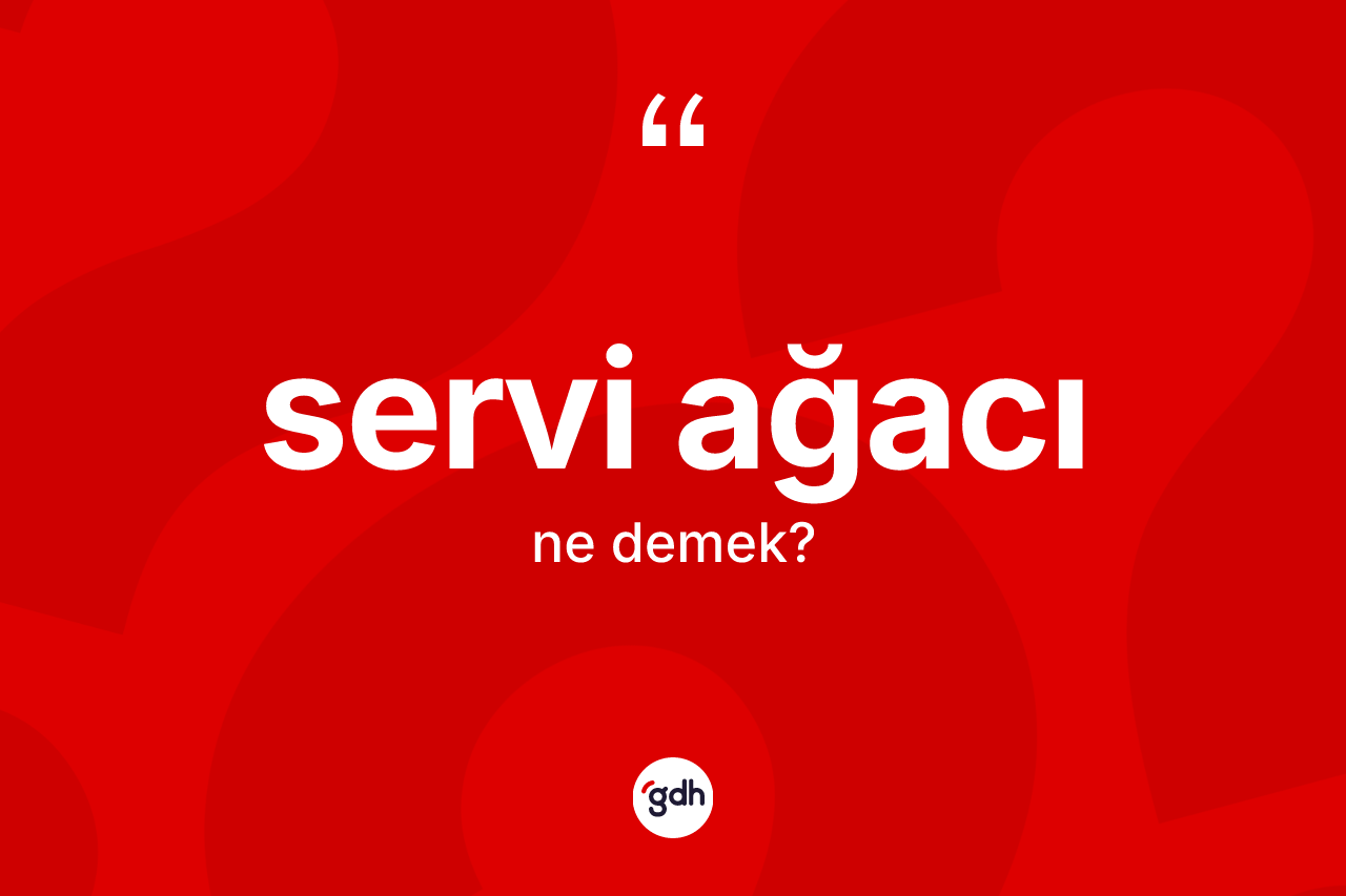 Servi ağacı ne demek? Servi ağacının TDK'ya göre anlamı nedir?