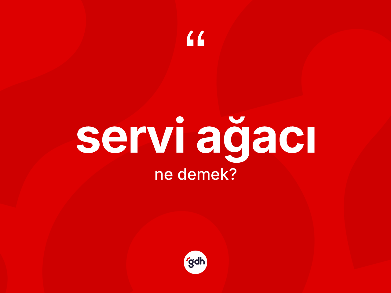 Servi ağacı ne demek? Servi ağacının TDK'ya göre anlamı nedir?