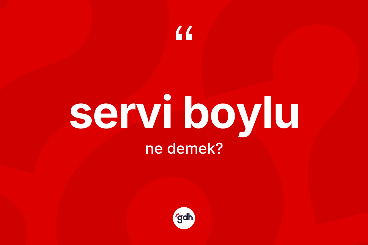Servi boylu kelimesi ne demek? Servi boylunun TDK'ya göre anlamı nedir?