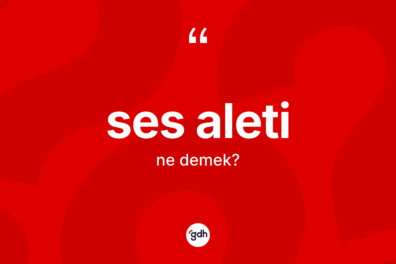 Ses aleti kelimesi nedir?