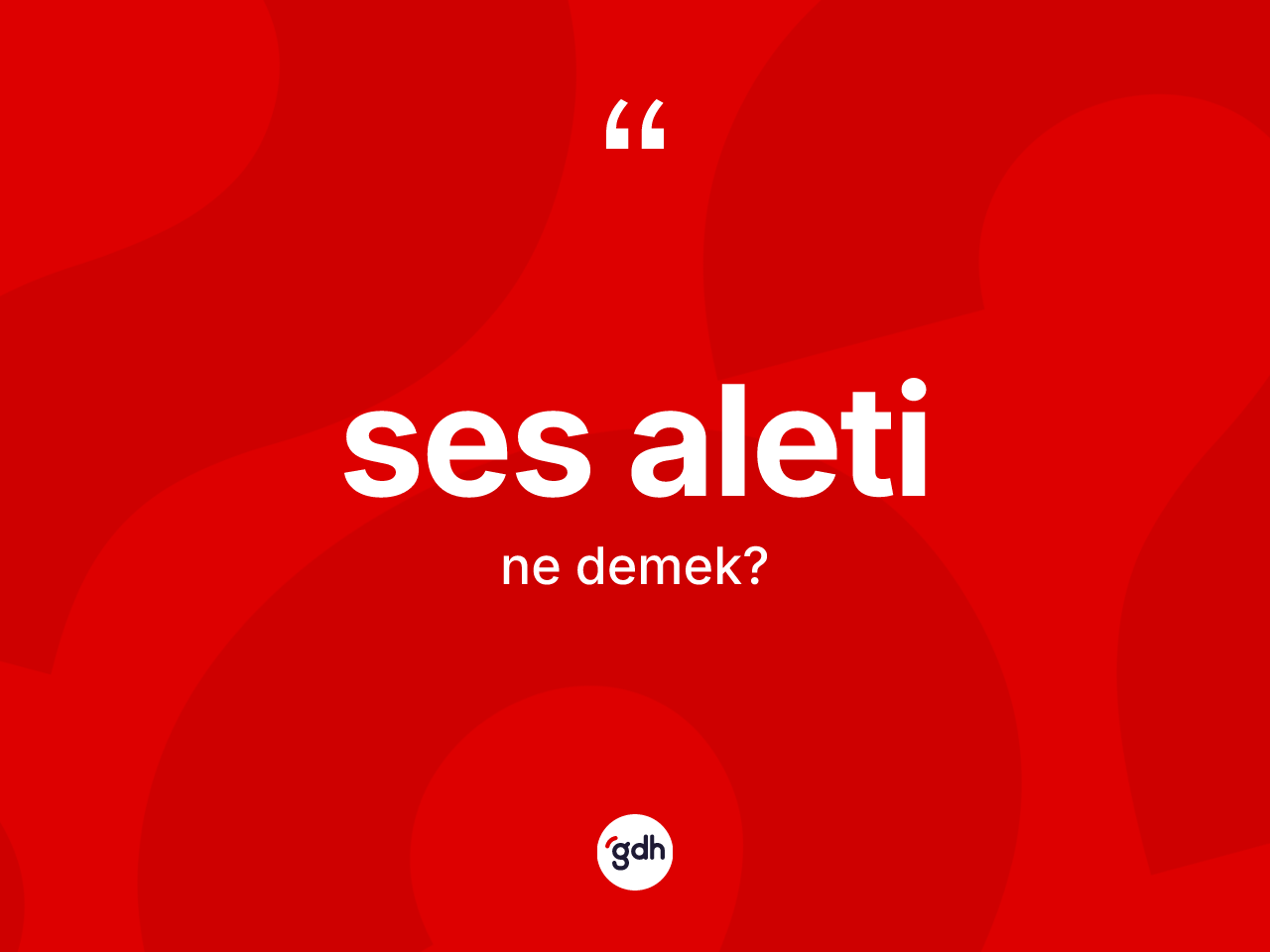 Ses aleti kelimesi nedir? Ses aletinin sözlükteki anlamı nedir?