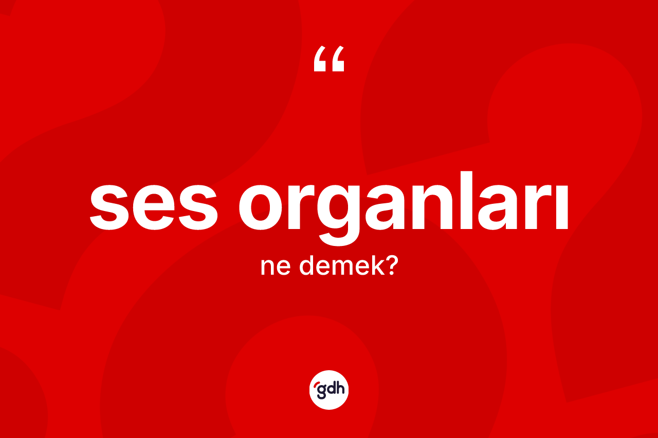 Ses organları nedir? Ses organlarının sözlükteki anlamı nedir?