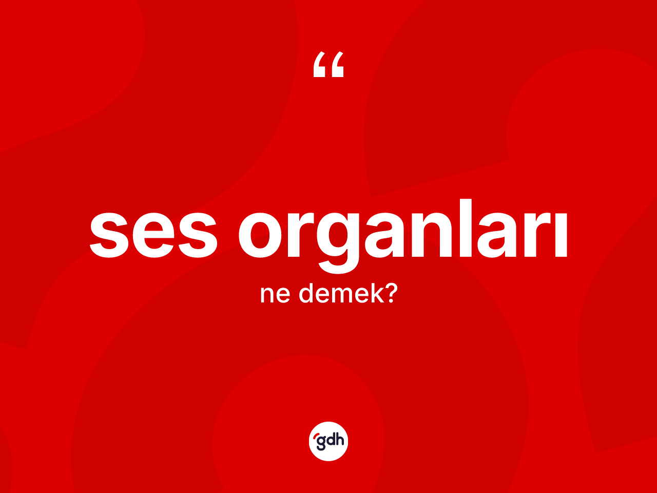 Ses organları nedir? Ses organlarının sözlükteki anlamı nedir?