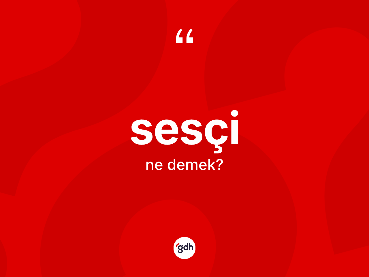Sesçi kelimesi ne anlama gelir? Sesçinin TDK'ya göre anlamı nedir?