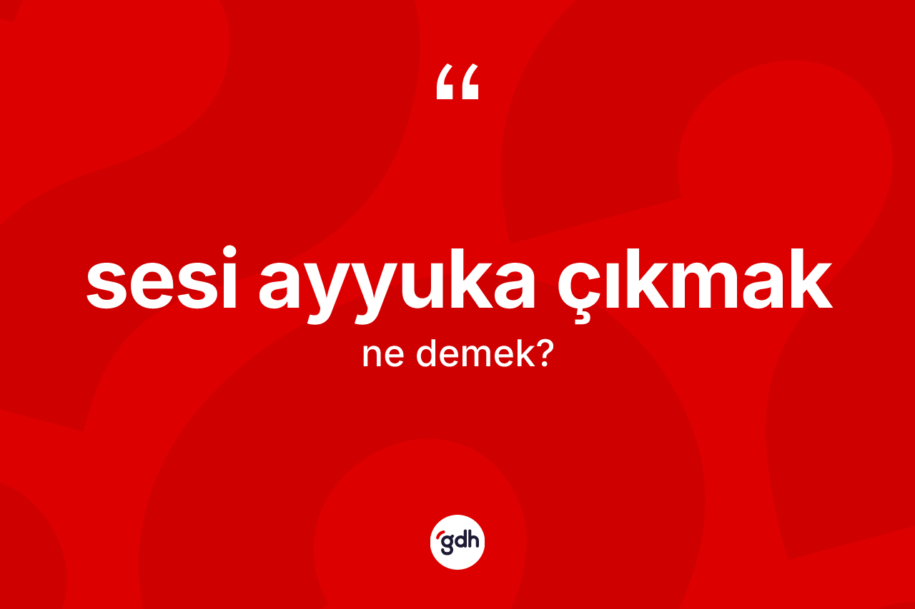 Sesi ayyuka çıkmak ifadesi neyi anlatır?