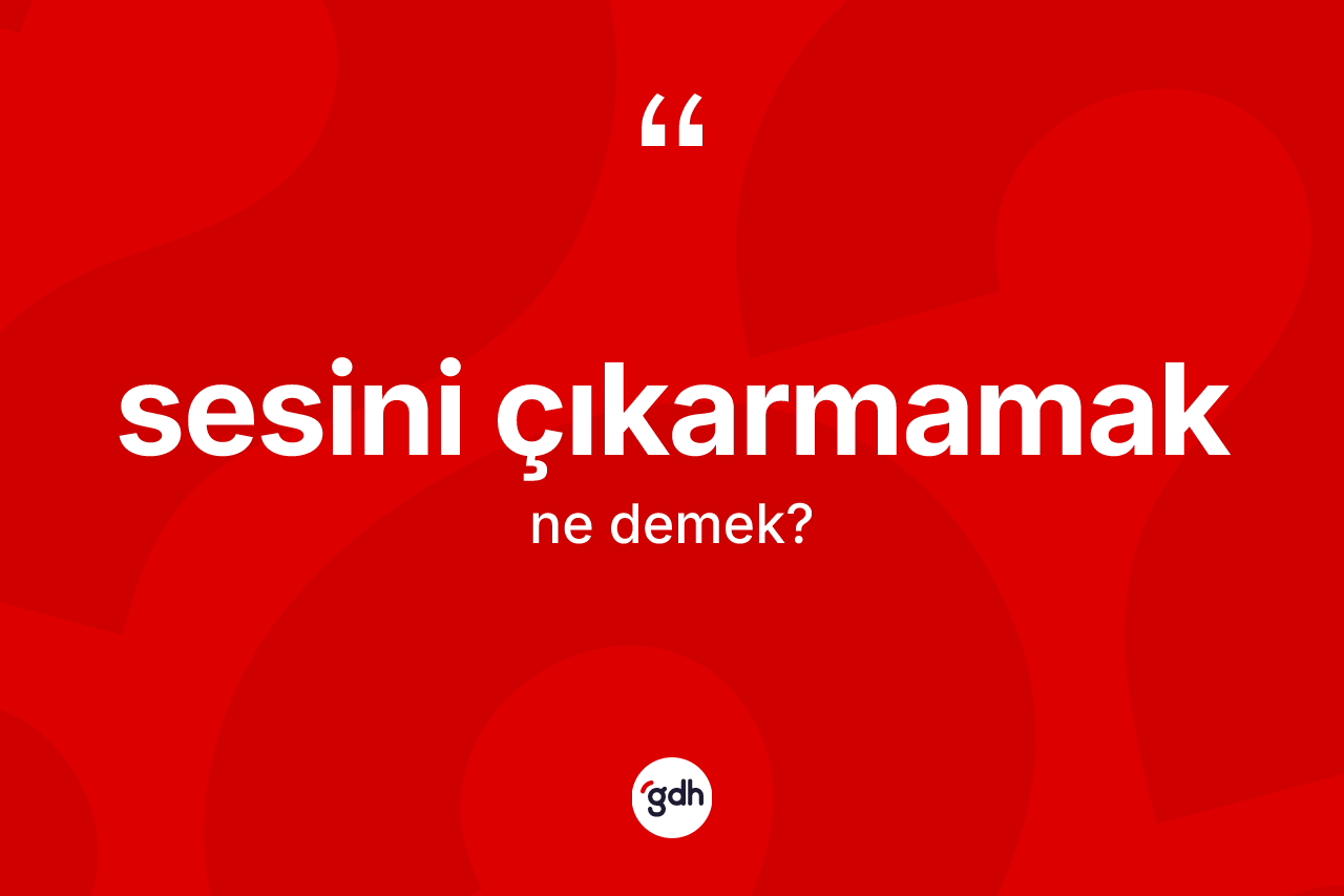 Sesini çıkarmamak ne demek?
