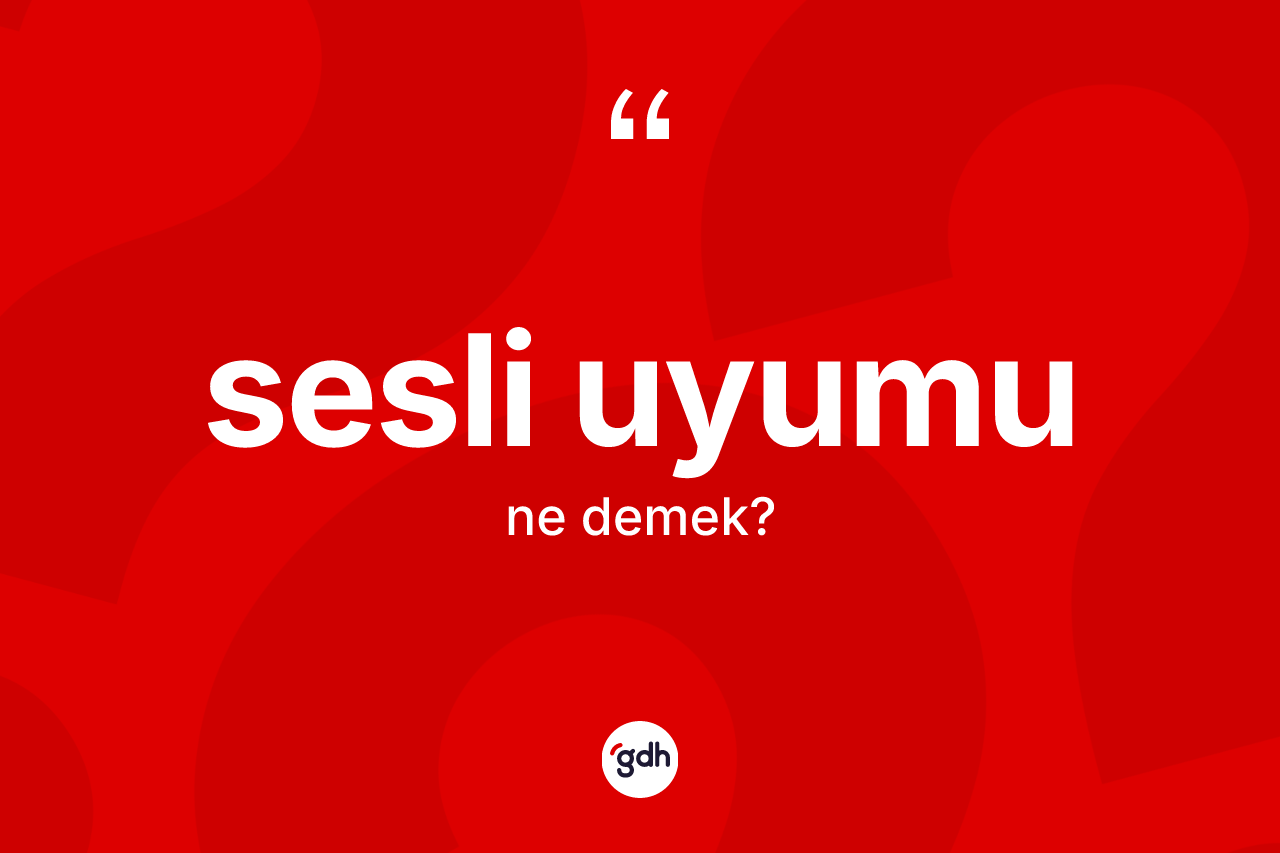 Sesli uyumu kelimesi nedir? Sesli uyumu kelimesinin özellikleri nelerdir?