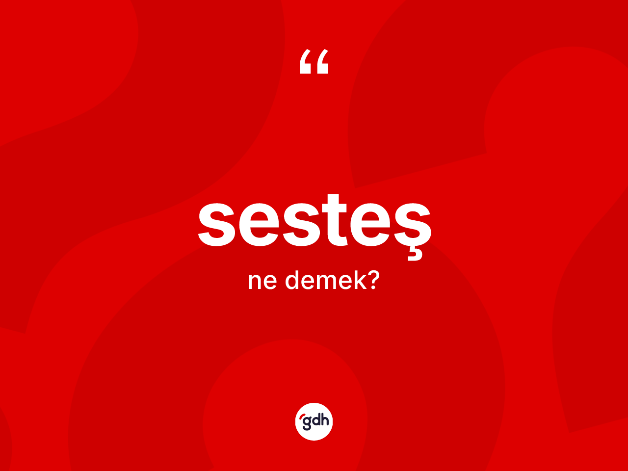 Sesteş kelimesi ne anlama gelir? Sesteşin TDK'ya göre anlamı nedir?