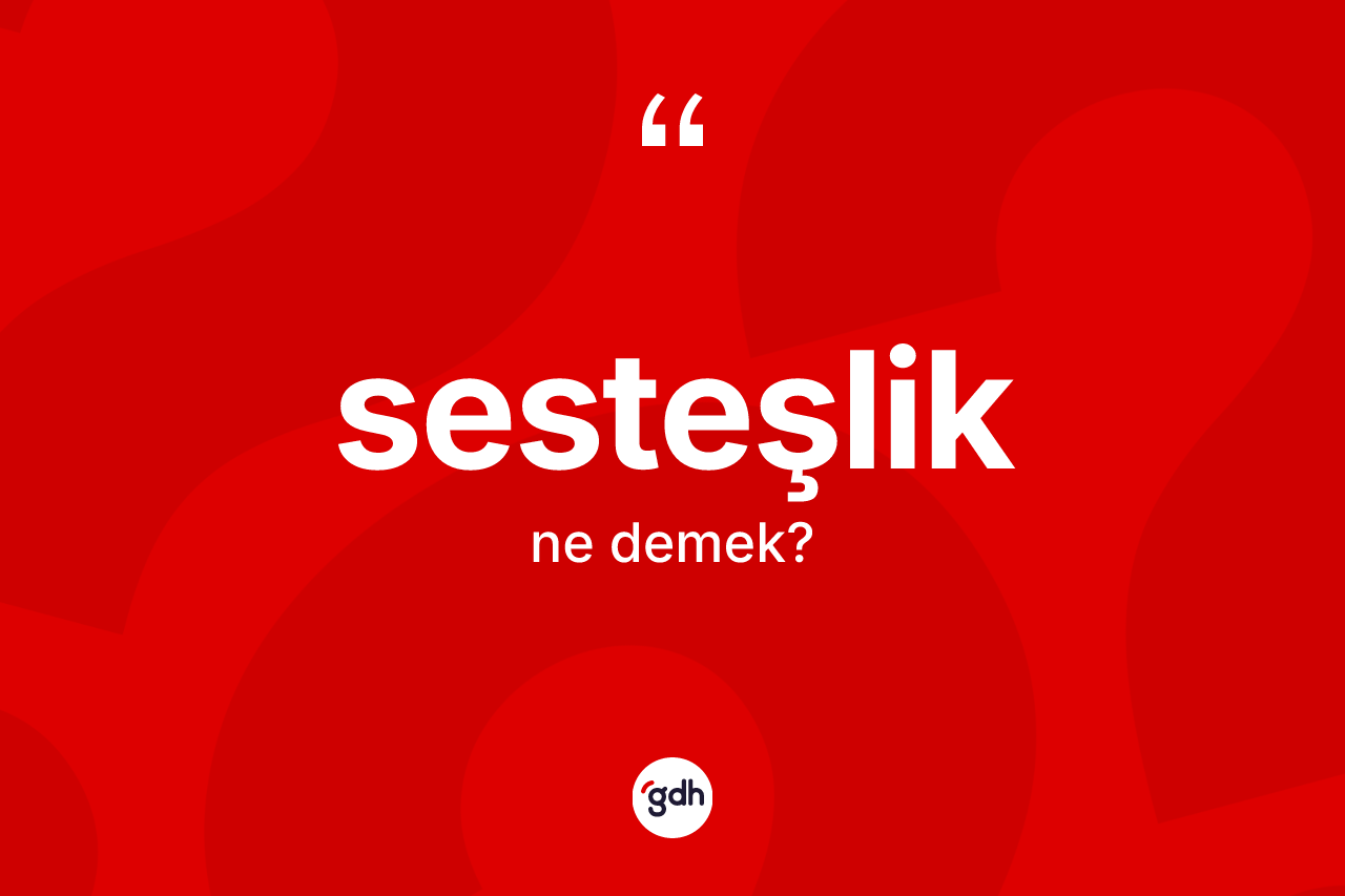 Sesteşlik kelimesinin anlamı nedir? Sesteşlik kelimesinin kaç farklı anlamı var?
