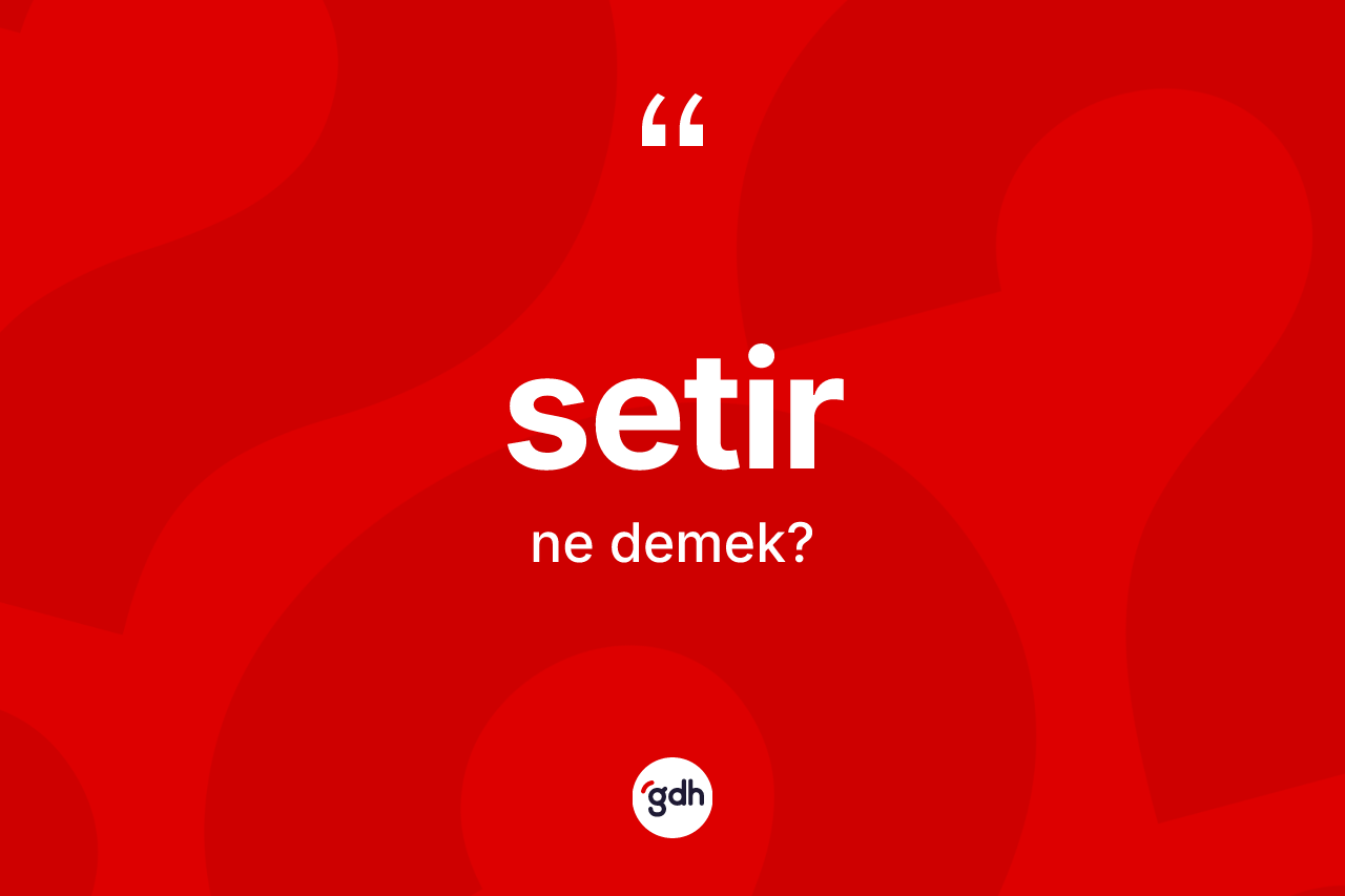 Setir kelimesi ne anlama gelir?