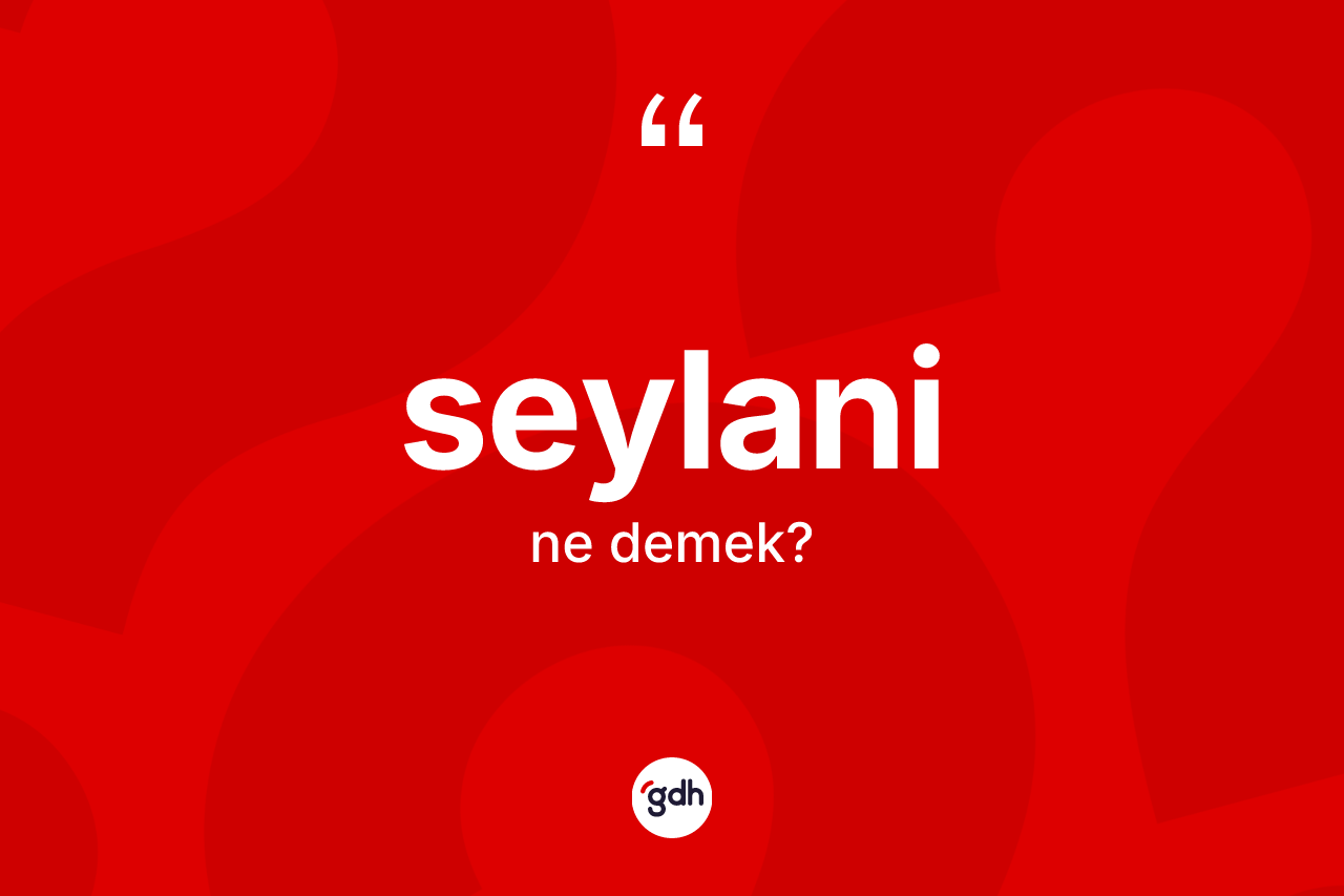 Seylani kelimesinin sözlükteki tanımı nedir?