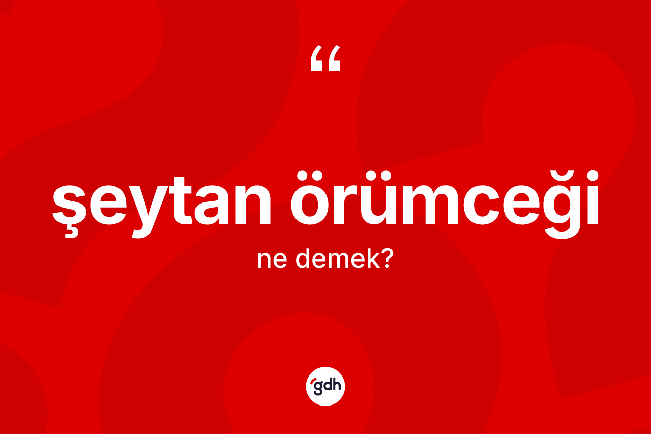 Şeytan örümceği ne demek?