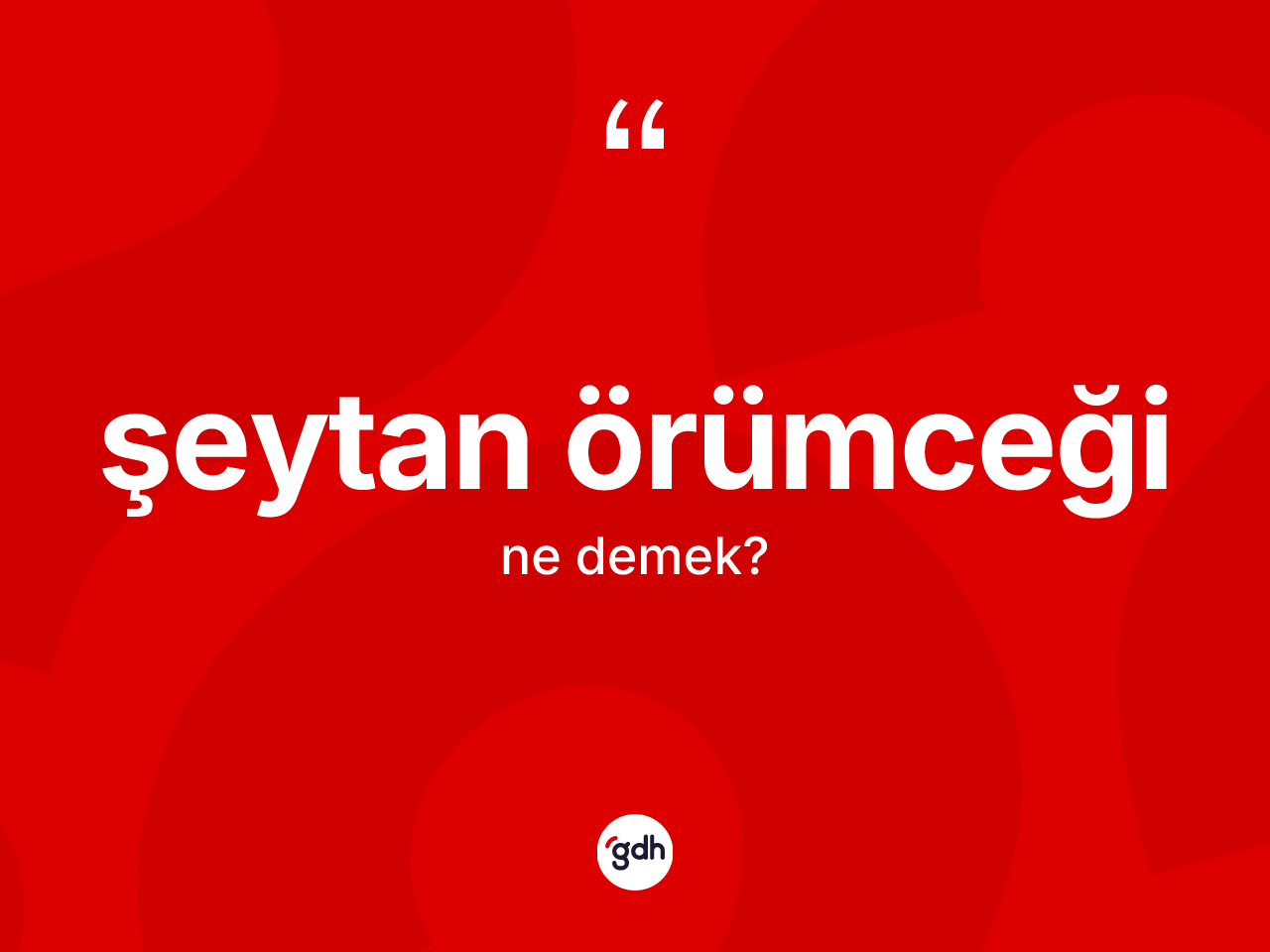 Şeytan örümceği ne demek? Şeytan örümceğinin halk arasındaki kullanımı nasıldır?