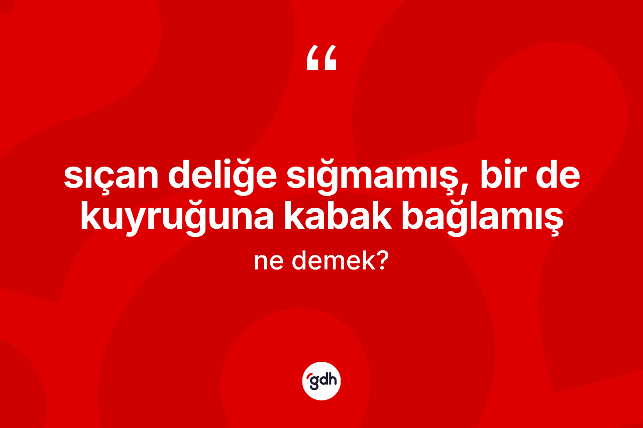 Sıçan deliğe sığmamış, bir de kuyruğuna kabak bağlamış nedir?